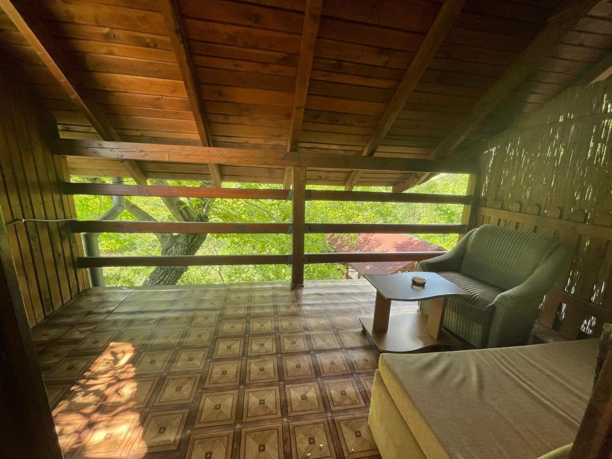 Pensiunea DORA SASCA Sasca Montană Exterior foto