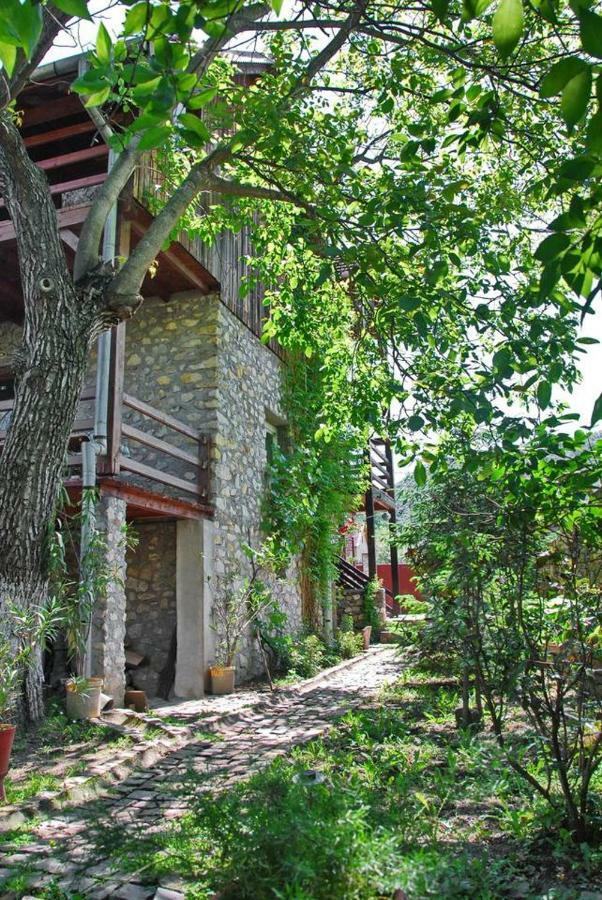 Pensiunea DORA SASCA Sasca Montană Exterior foto