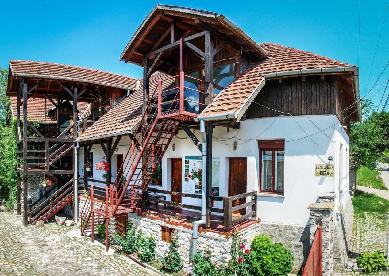 Pensiunea DORA SASCA Villa Sasca Montană Exterior foto